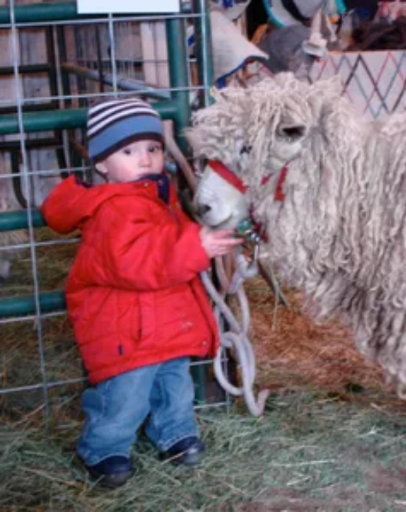 Organically Grown Wool