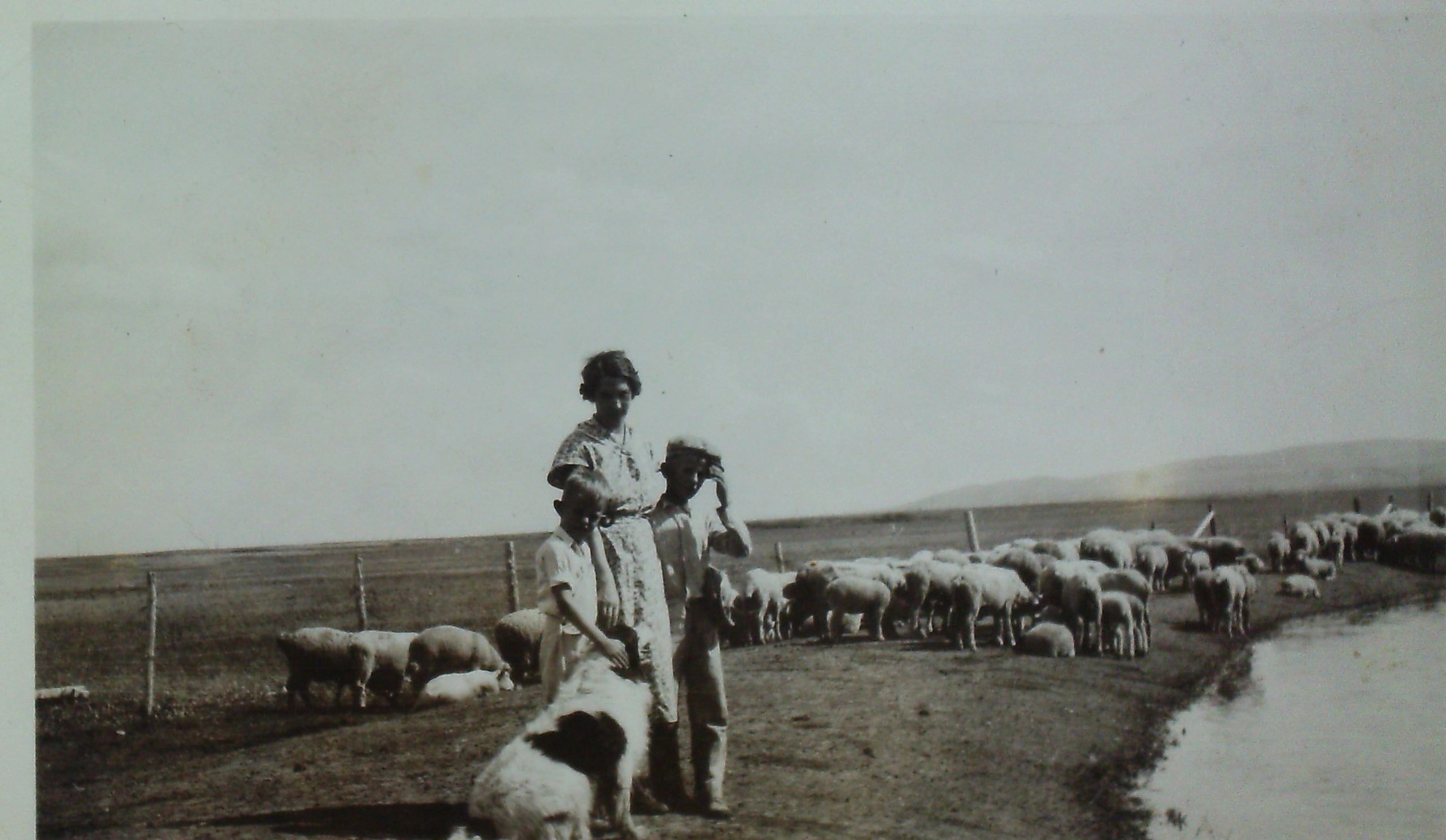 Ewe Hoo Raising Raises